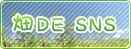 ȪDE SNS